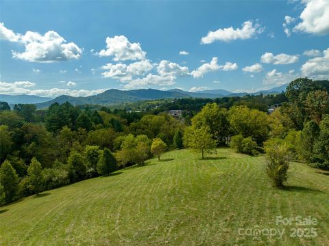 74 Buckeye Cove Road Canton NC 28716