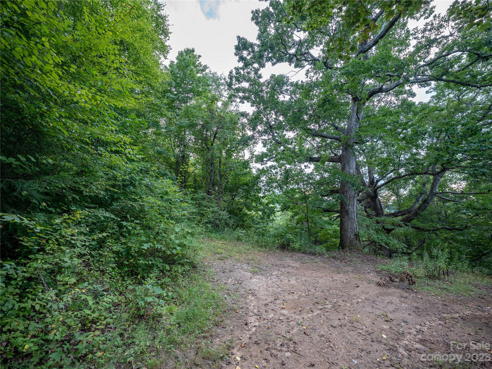 Hunters Ridge - Land