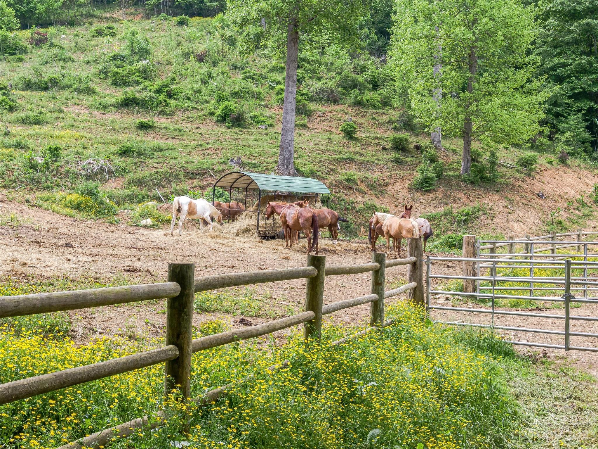 The Preserve at Wolf Laurel - Land