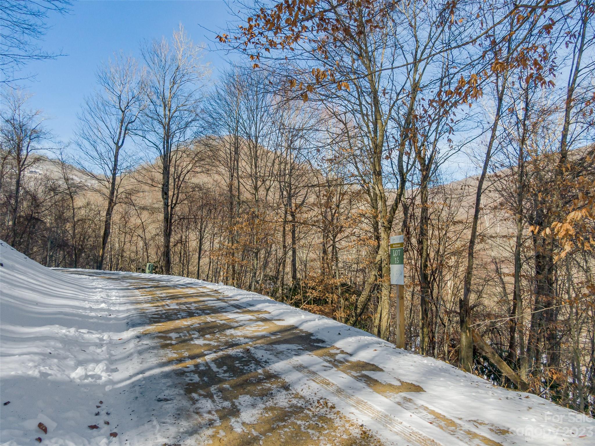 The Preserve at Wolf Laurel - Land