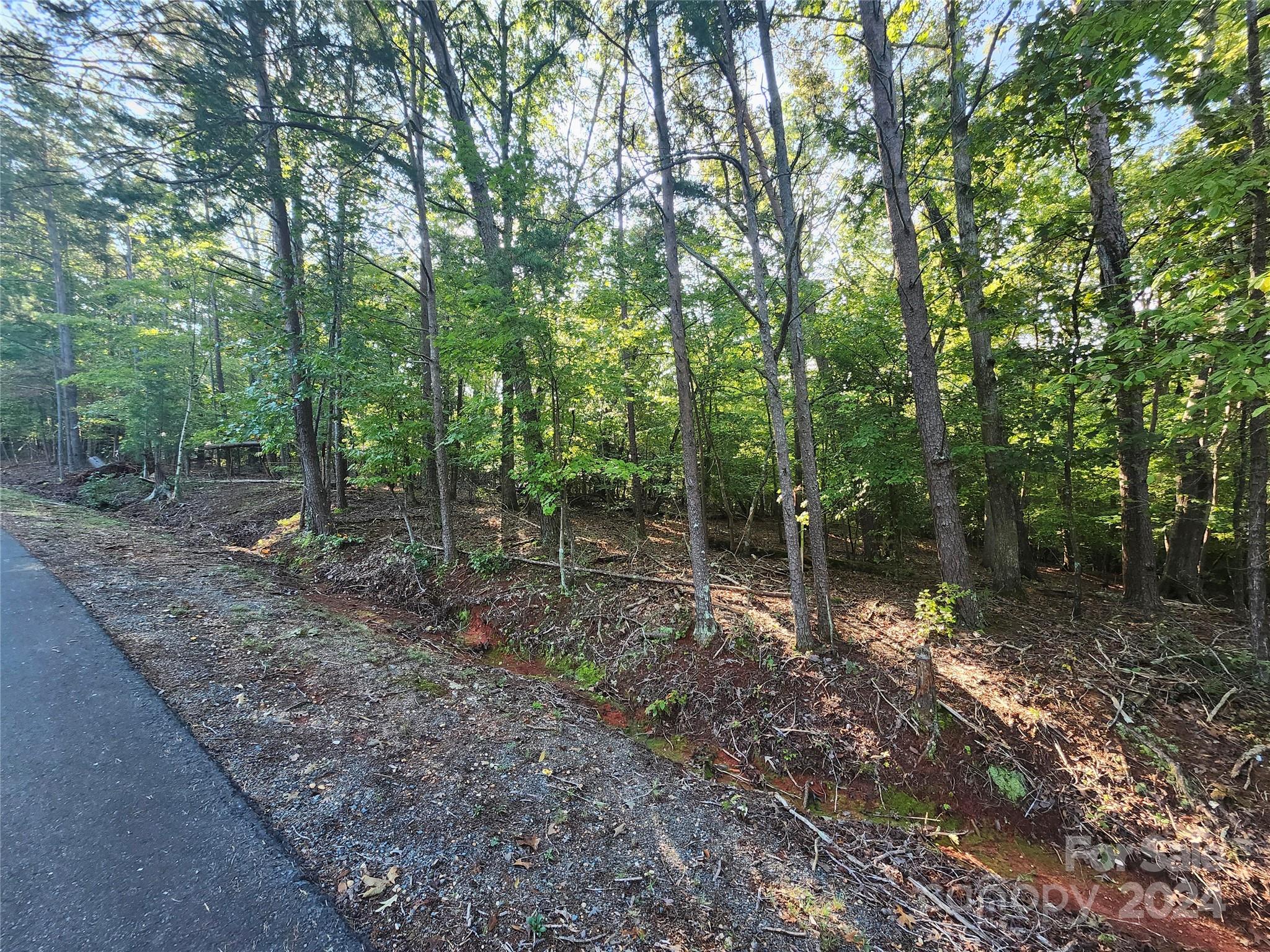 Carolina Forest - Land