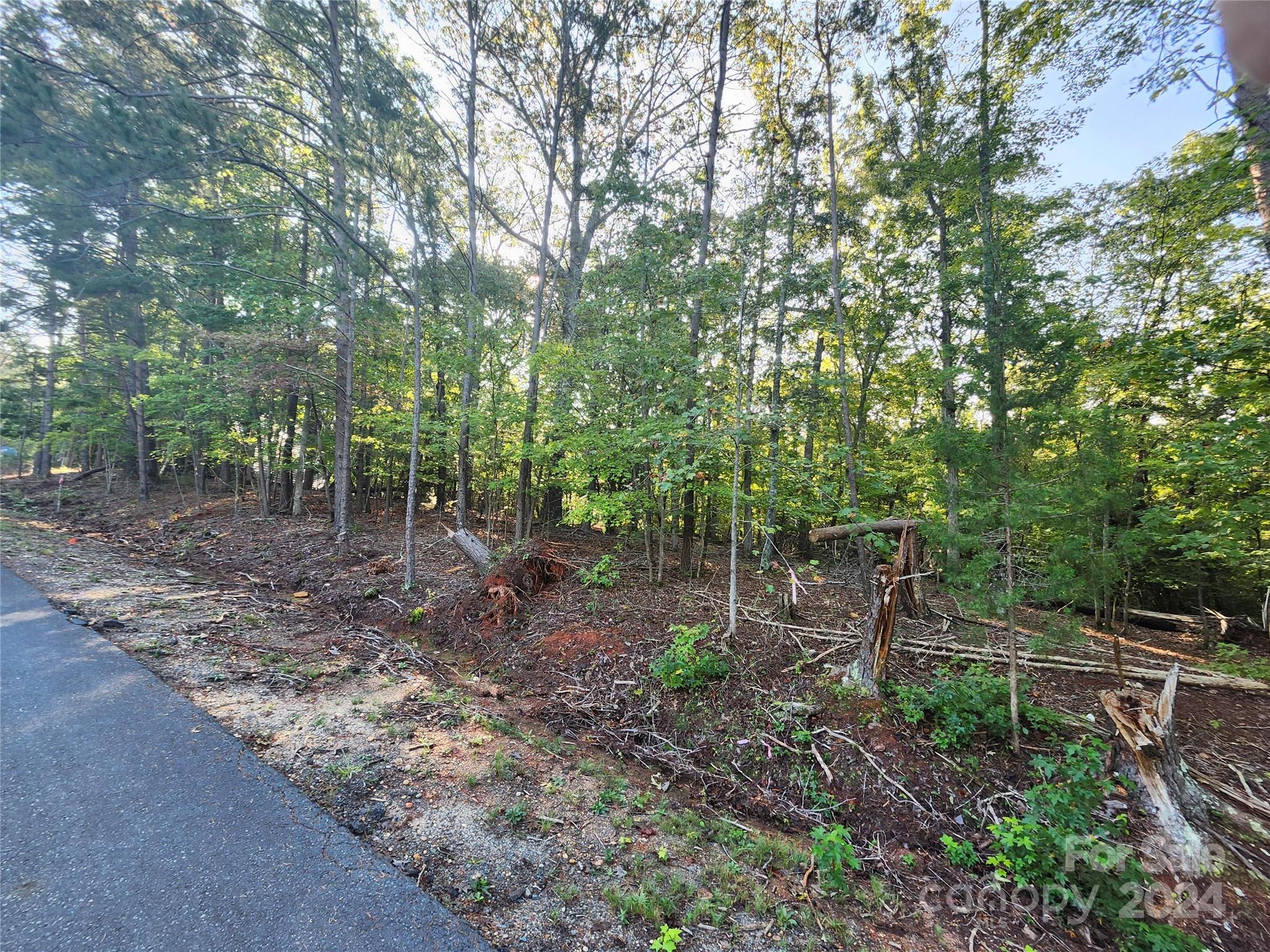 Carolina Forest - Land