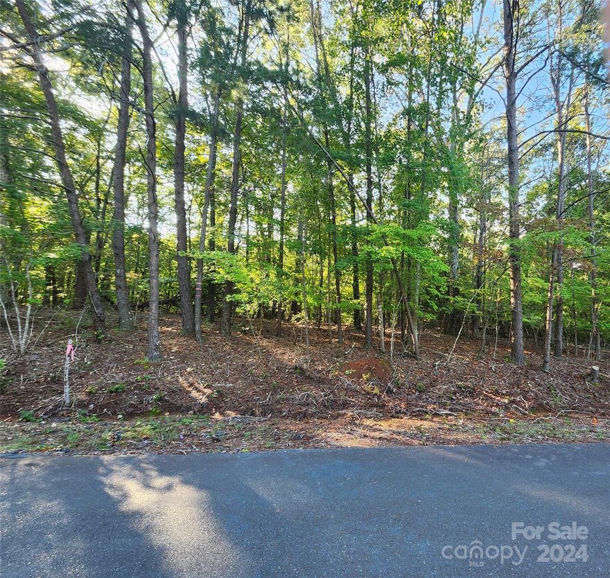Please come take a look at this great building lot in Carolina Forest and enjoy all of the amenities of beautiful Lake Tillery. This lot has a current 4 bedroom perc and a new survey. The location is perfect and offers privacy. Carolina Forest has boat access for non waterfront lot owners to use, along with a swimming pool and tennis courts. Buyers must be accompanied by a licensed real estate agent as Carolina Forest is a gated community.

GREAT REDUCTION IN PRICE.  COME TAKE A LOOK AT THE POSSIBILITIES