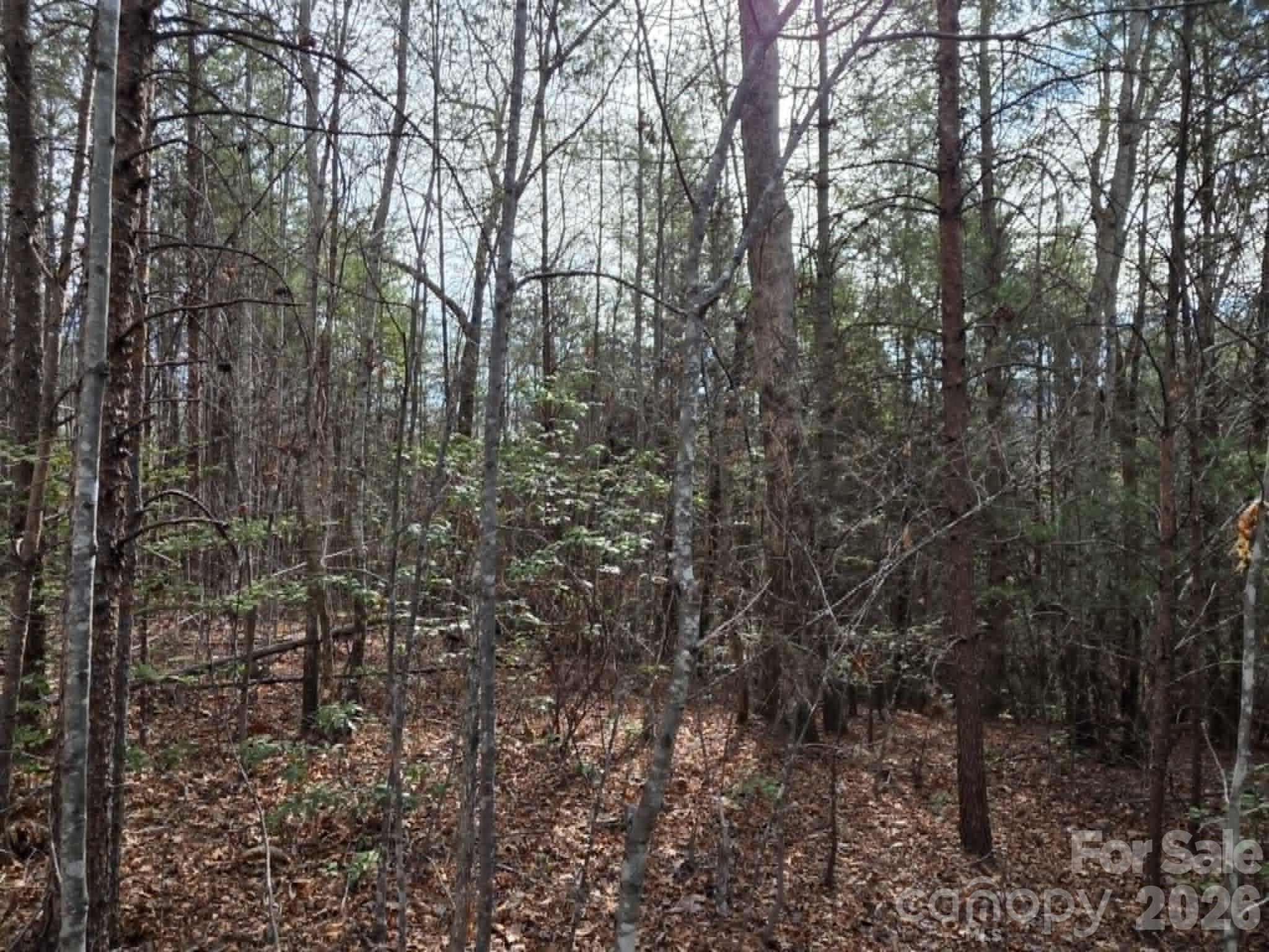 Lot 6 Kerlee Lane