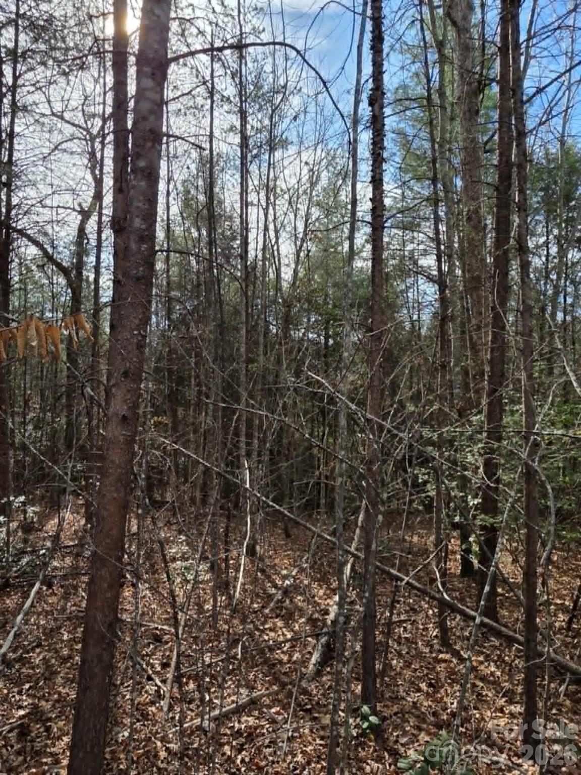 Lot 6 Kerlee Lane