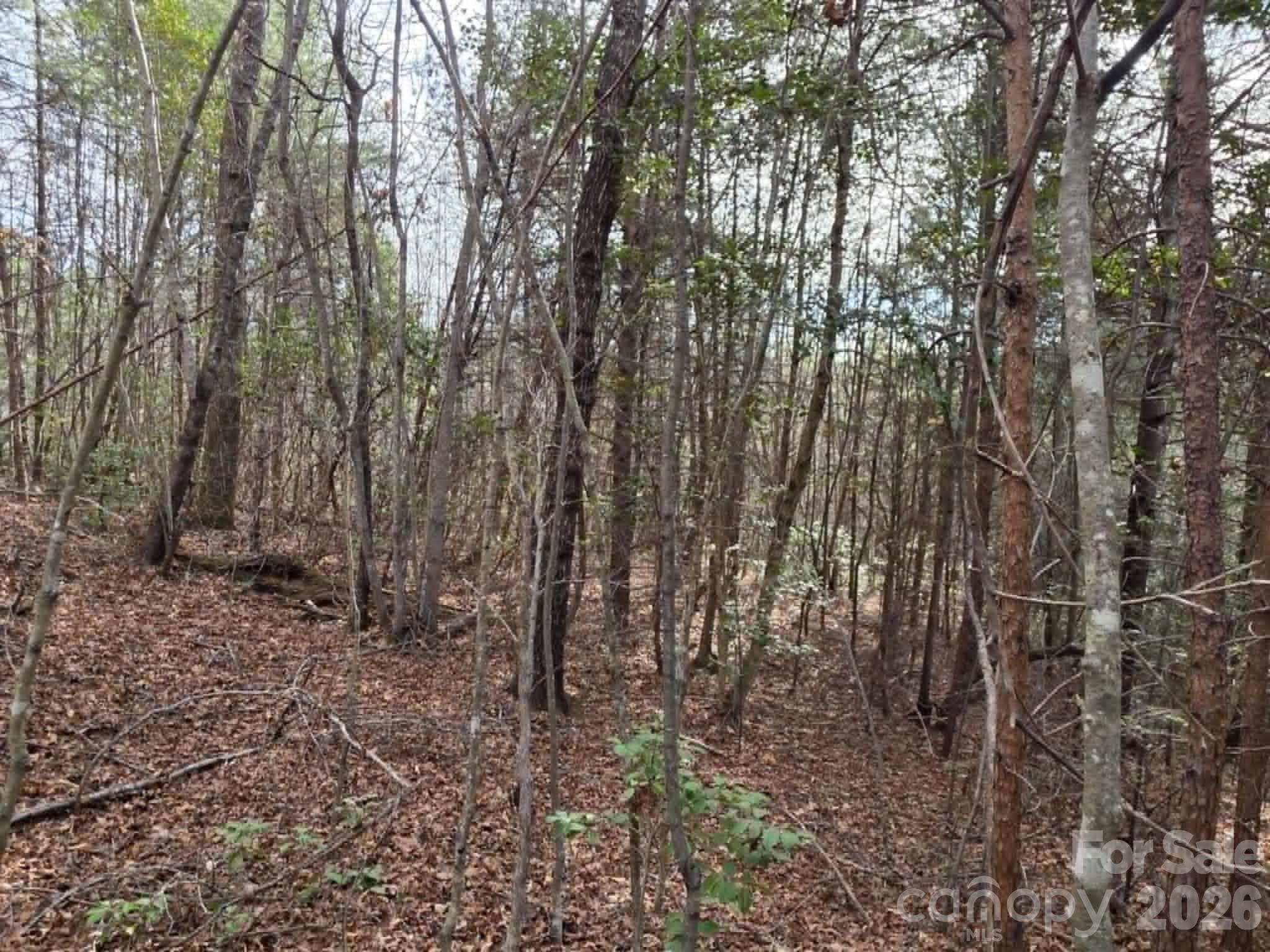 Lot 6 Kerlee Lane