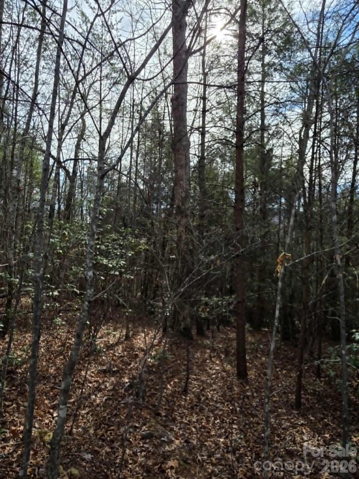 Lot 6 Kerlee Lane