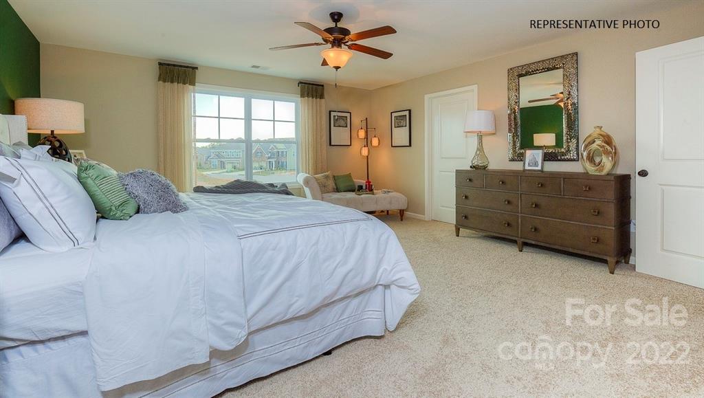 Avondale - Residential