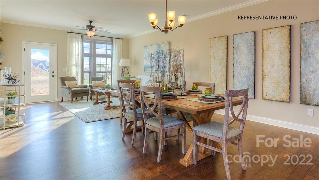 Avondale - Residential