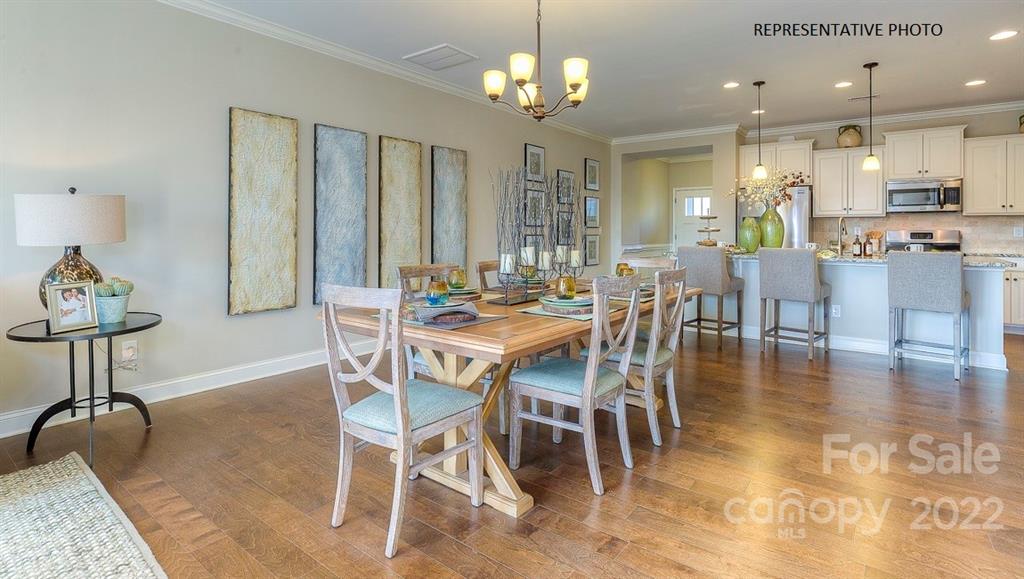 Avondale - Residential