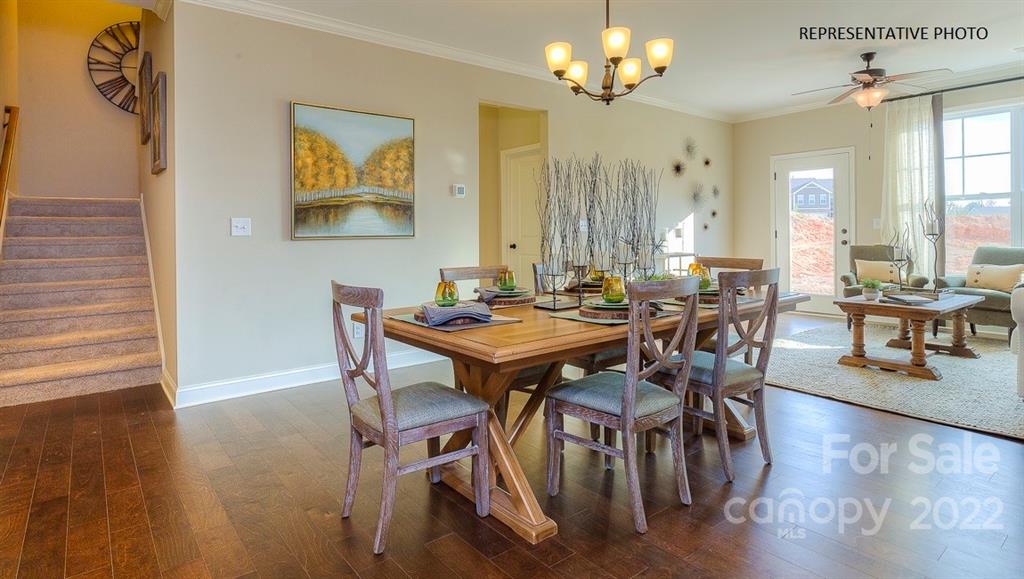 Avondale - Residential