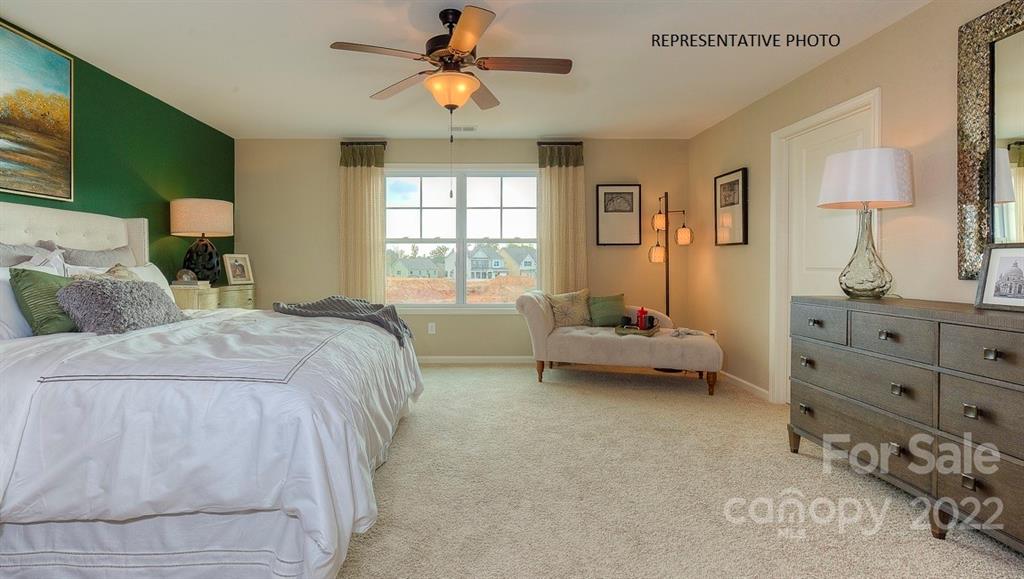 Avondale - Residential