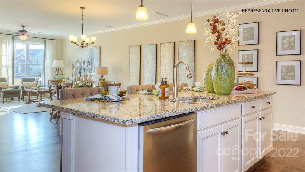 Avondale - Residential