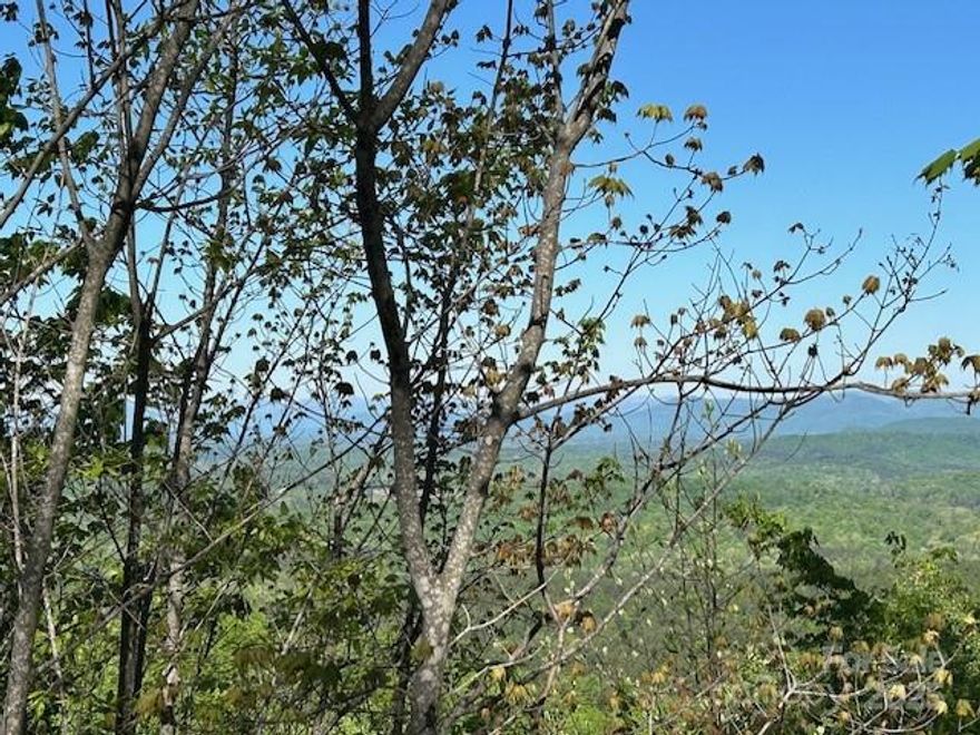 So much more than just a mountaintop view! This spectacular lot is easy to access and extremely builder friendly. All season views to the west and/or to the south! Yellowtop Mountain Estates is just off Bostic Sunshine Hwy. This gated community is ~5 minutes from Bostic and an easy ~15 minutes from Forest City, restaurants and grocery. Centrally located, 1 hour each from Greenville, Asheville and Charlotte. If you're looking for a spectacular view with easy access, this is it!