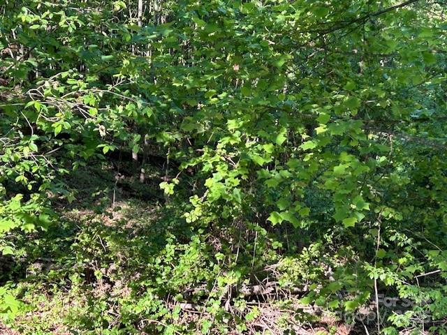0 Arbra Mountain Way
