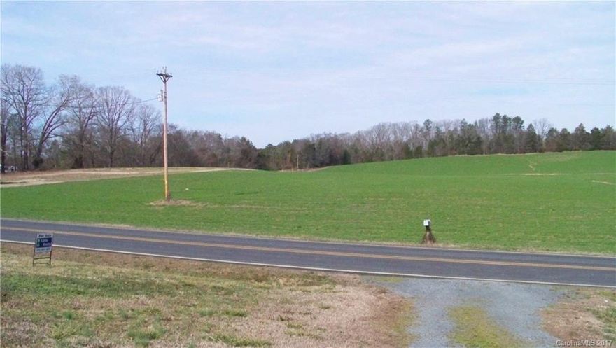 This is the remander of 45.93 acres (Note: Tax Value and Pin and record #)--There is a Natural Gas line that runs through the property--Buyer would need to contact Piedmont Nat Gas for restrictions and more info--