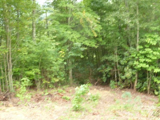 240 Thunderhead Drive