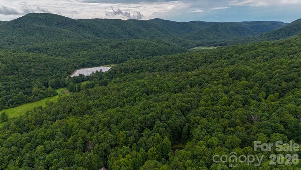 ADDRESS PRIVATE, ZIRCONIA, NC 28790 - Image f2e751a8c87a23ecdf824065a8beb88f/1320369357