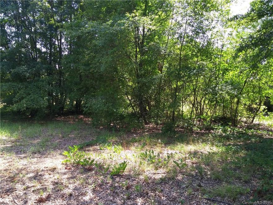 Build your dream home here and walk to the river. Several floor plan options available. Nice large flat lot with hardwoods. Enjoy strolling the tree-lined streets to dine at the Wagon Wheel Restaurant. Enjoy the history of The Fort Lawn Community Center which hosts various events throughout the year, including an annual Spring Festival. It's home to a 9/11 memorial constructed from pieces of steel beam removed from the World Trade Center site. Also zoned for double-wide home. 2 total acres avail