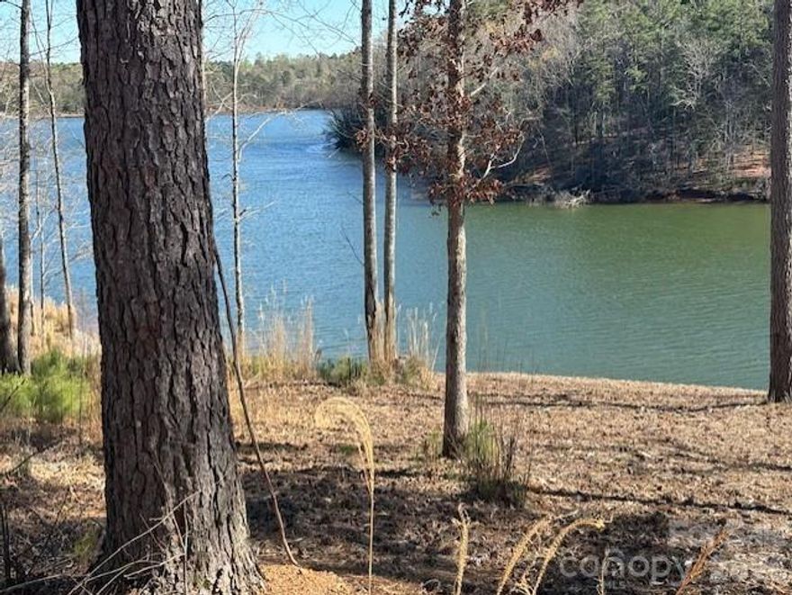 Discover the perfect opportunity to build your dream home on this stunning 1.55-acre waterfront lot in the highly sought-after gated community of Lakeside Reserve on Lake Rhodiss. Offering a rare combination of privacy, natural beauty, and upscale community amenities, this property is ideally suited for those seeking a peaceful lakefront lifestyle in Western North Carolina.

This exceptional homesite features topography that allows for a walk-out basement and expansive water views, making it ideal for a custom-built residence designed to maximize the serene surroundings. The shoreline has already been professionally stabilized, saving significant time and cost, and enhancing long-term value. Even better, the lot has successfully perked for a 4-bedroom home, giving you a strong head start in the building process.

A key advantage of this property is the strategic septic placement at the front of the lot, allowing your future home to be positioned closer to the water—perfect for capturing breathtaking lake views and creating a true indoor-outdoor living experience. The current owners also received approval for a private dock and although that approval has expired this still presents an excellent opportunity for you to apply for direct lake access, ideal for boating, kayaking, or simply enjoying the peaceful shoreline.  See documents for the information on the current owners approval as well as the size and scope of the dock.

Lakeside Reserve is known for its resort-style amenities and thoughtfully planned community design. Residents enjoy access to a beautiful clubhouse, an inground swimming pool, pickleball courts, scenic walking trails, charming community cabanas, and a secure boat storage area, all set within a private gated environment. Whether you're looking for a full-time residence or a relaxing weekend retreat, this community offers both comfort and connection.

Located on the waters of Lake Rhodiss, this property provides easy access to outdoor recreation, while still being conveniently located near Hickory, Morganton, and surrounding areas for shopping, dining, and everyday conveniences.

If you’ve been searching for a lakefront lot with improvements already in place, incredible views, and access to premium amenities, this property is a must-see. Build your custom lake home and start enjoying the best of waterfront living in Lakeside Reserve. Schedule your showing today.