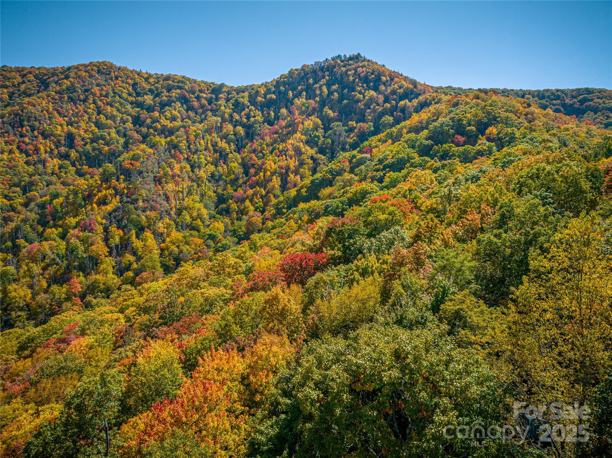 Upper Woodlands - Land