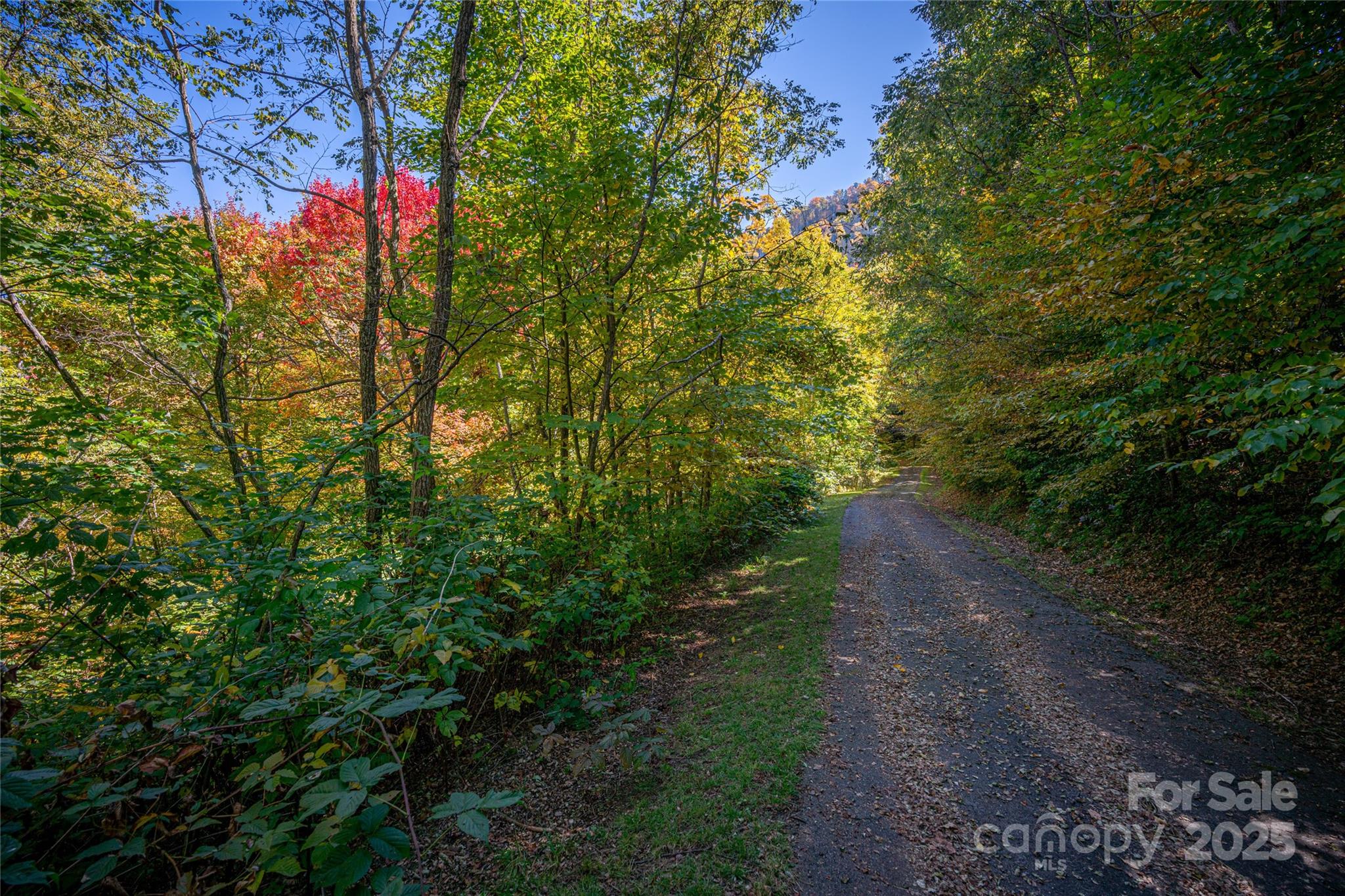 Upper Woodlands - Land