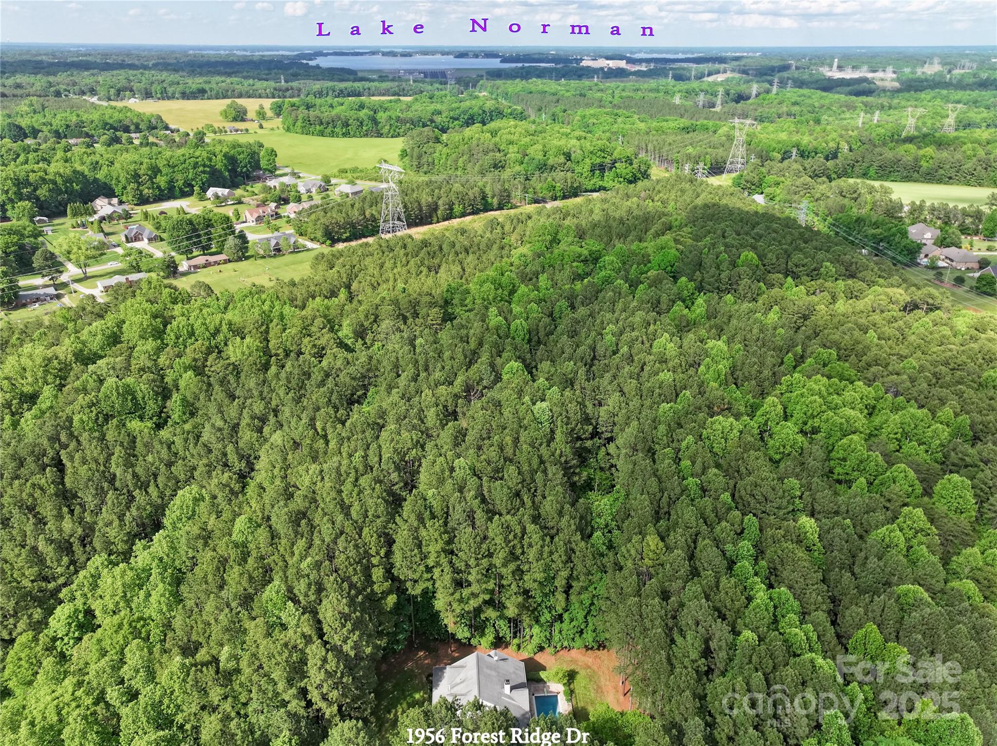 1956 Forest Ridge Drive