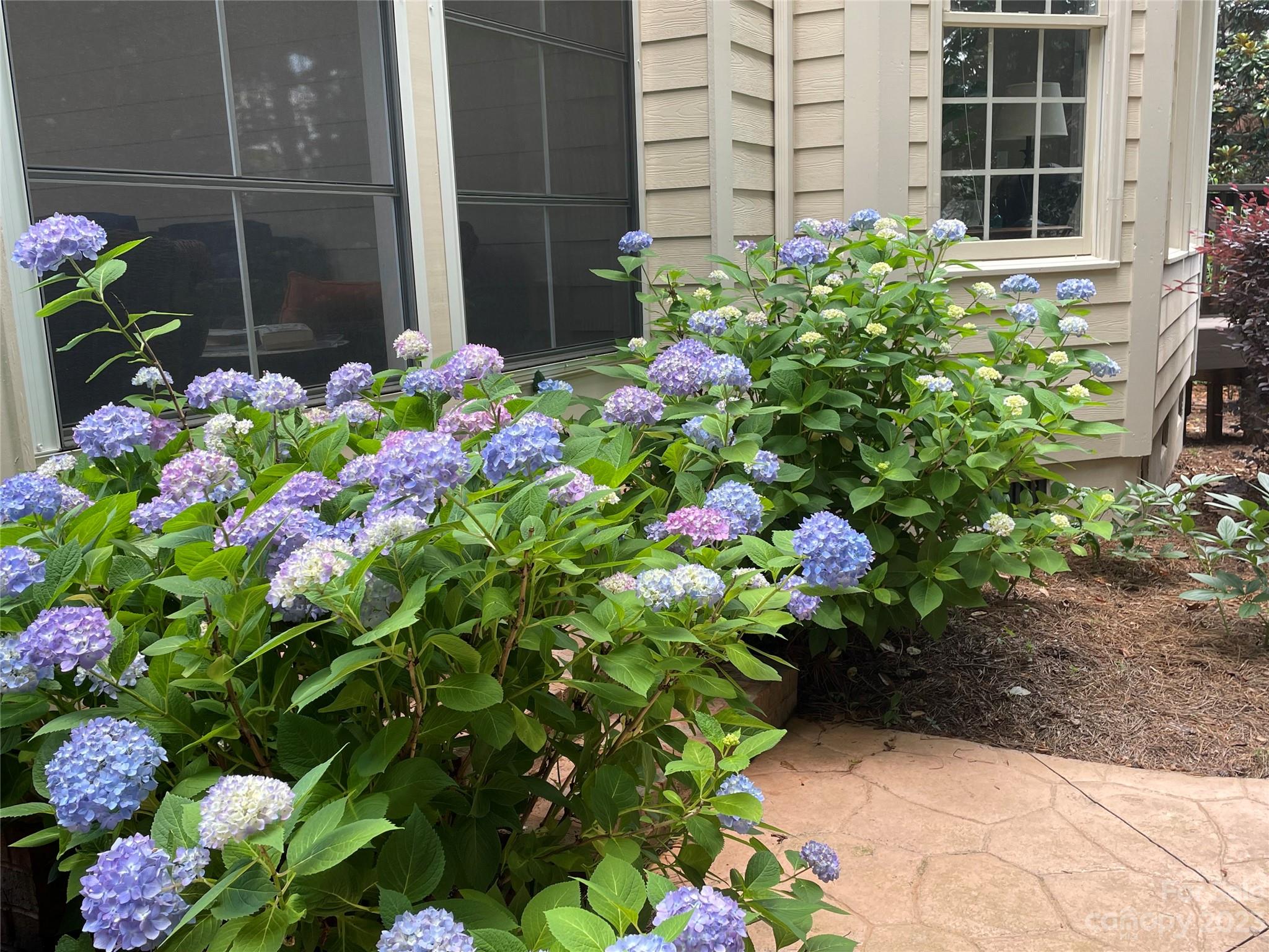 Bridgemill - Residential