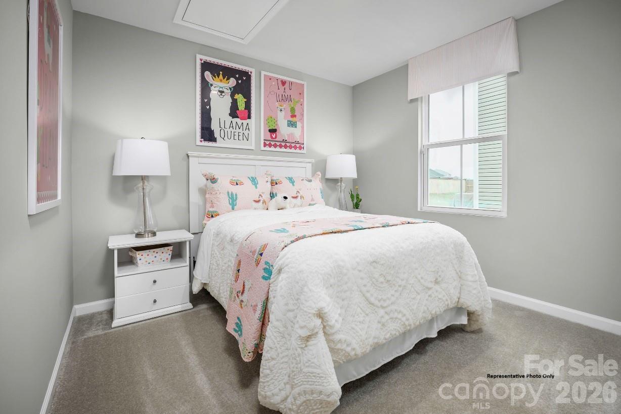 Laney Farms - Residential