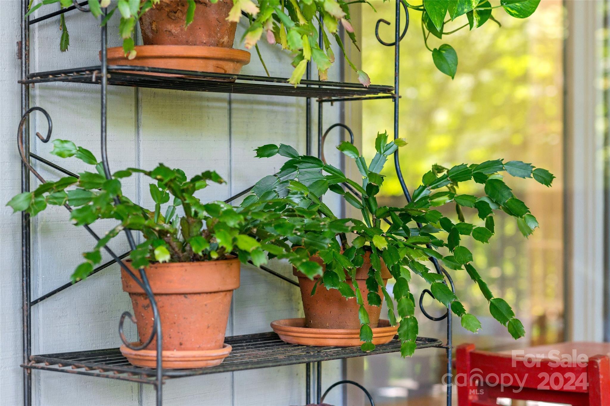 Mountain Retreat - Residential