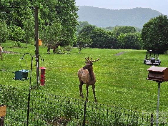 Valley Creek Run - Residential