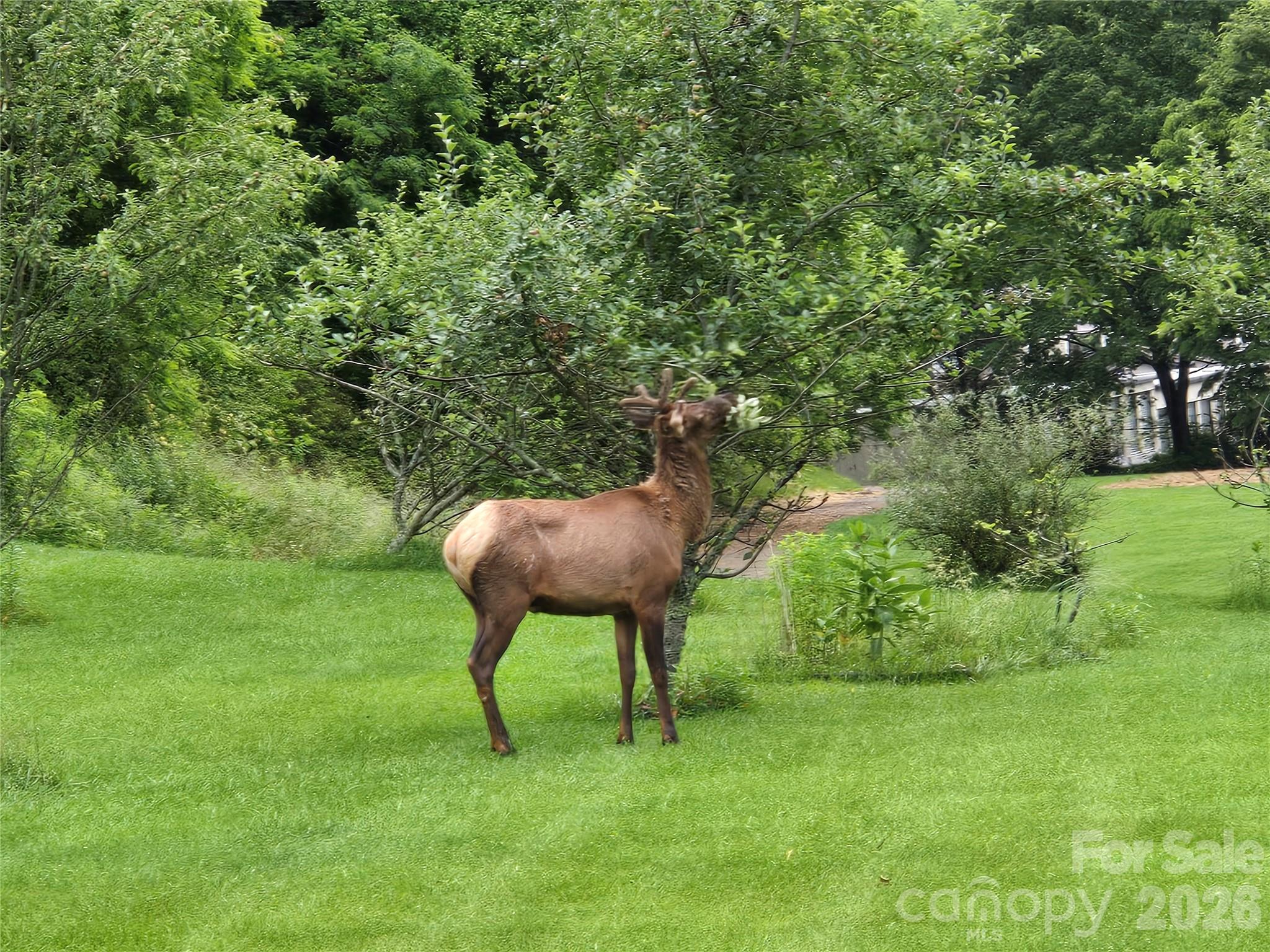 Valley Creek Run - Residential