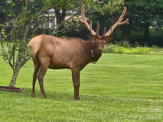 Valley Creek Run - Residential