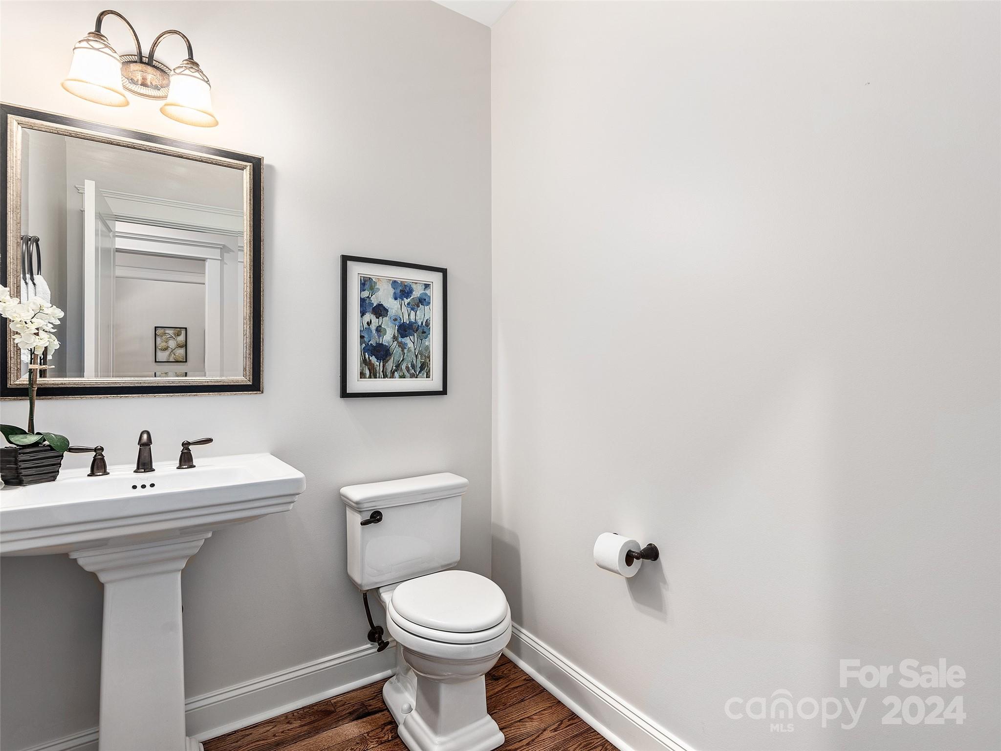 Biltmore Lake - Residential