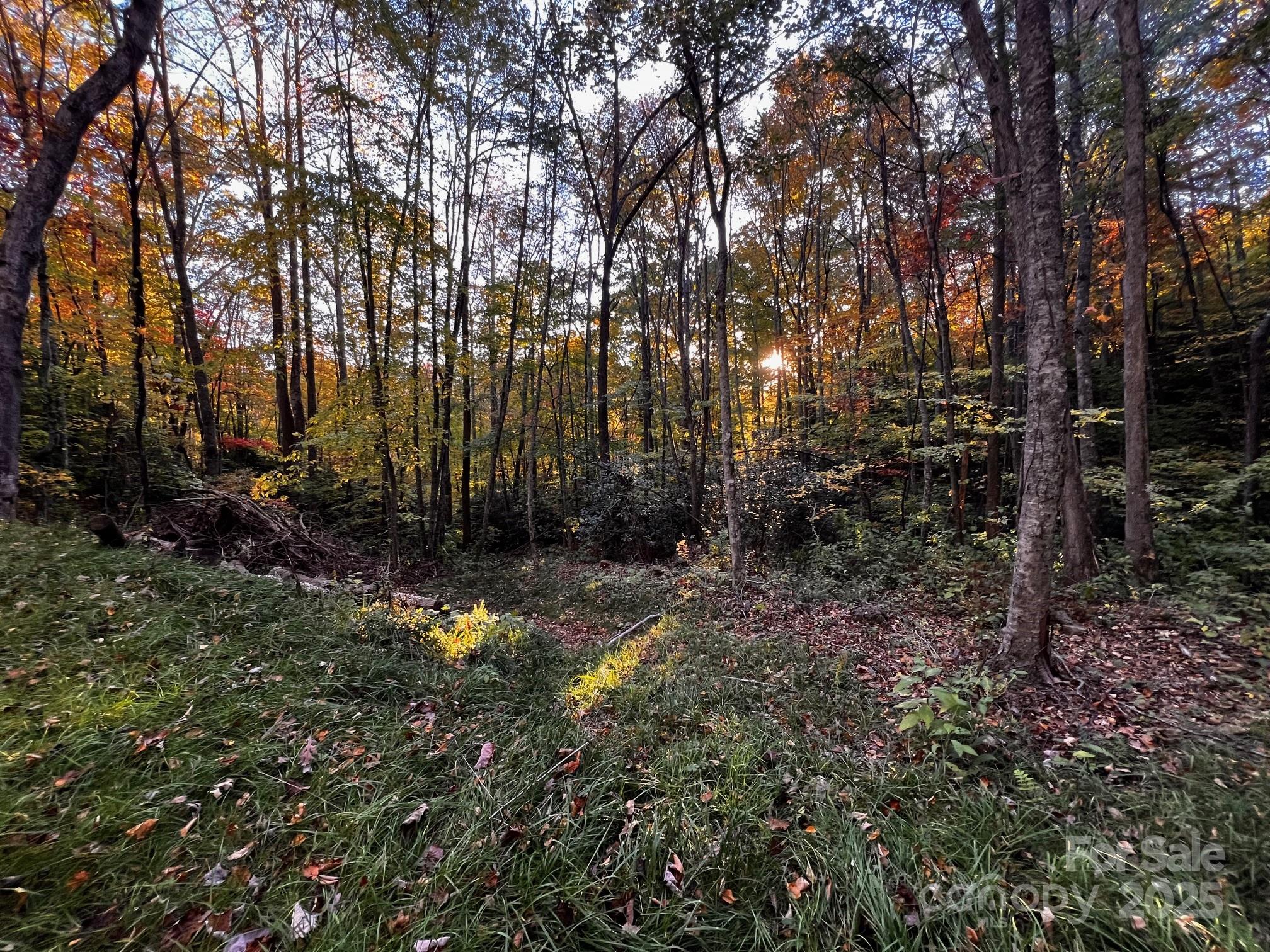 Springdale Estates - Land