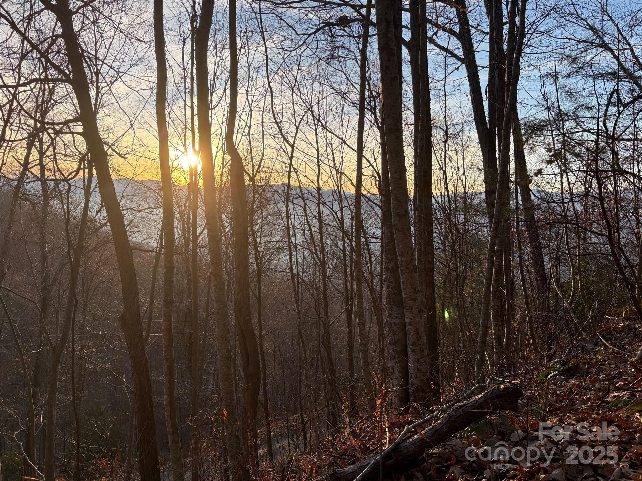 Panther Creek Estates - Land