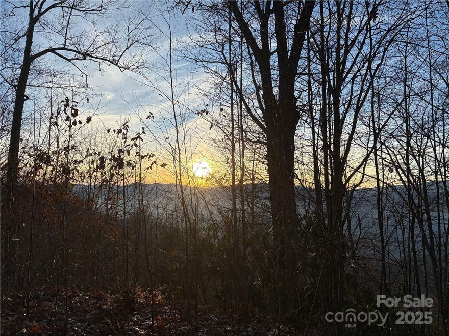 LEVEL BUILDABLE AREA. DRIVEWAY. VIEWS 

Welcome to Panther Creek Estates where the lots are large and the views are stunning. This lot offers its own spectacular view, an easily accessible and wide driveway, level cleared building area, and an expired 3 bedroom septic permit. Year-round views are in reach with minimal brush and sapling clearing. Being almost 2.5 acres with mature trees, this property provides a great buffer from any future builds. Panther Creek Estates has lite restrictions making your build obtainable and your private roads maintained. Come check out lot #2 and envision your 1000 square foot future site-built, second home, or vacation rental.
*Go to the end of the lot on hyacinth for driveway access.