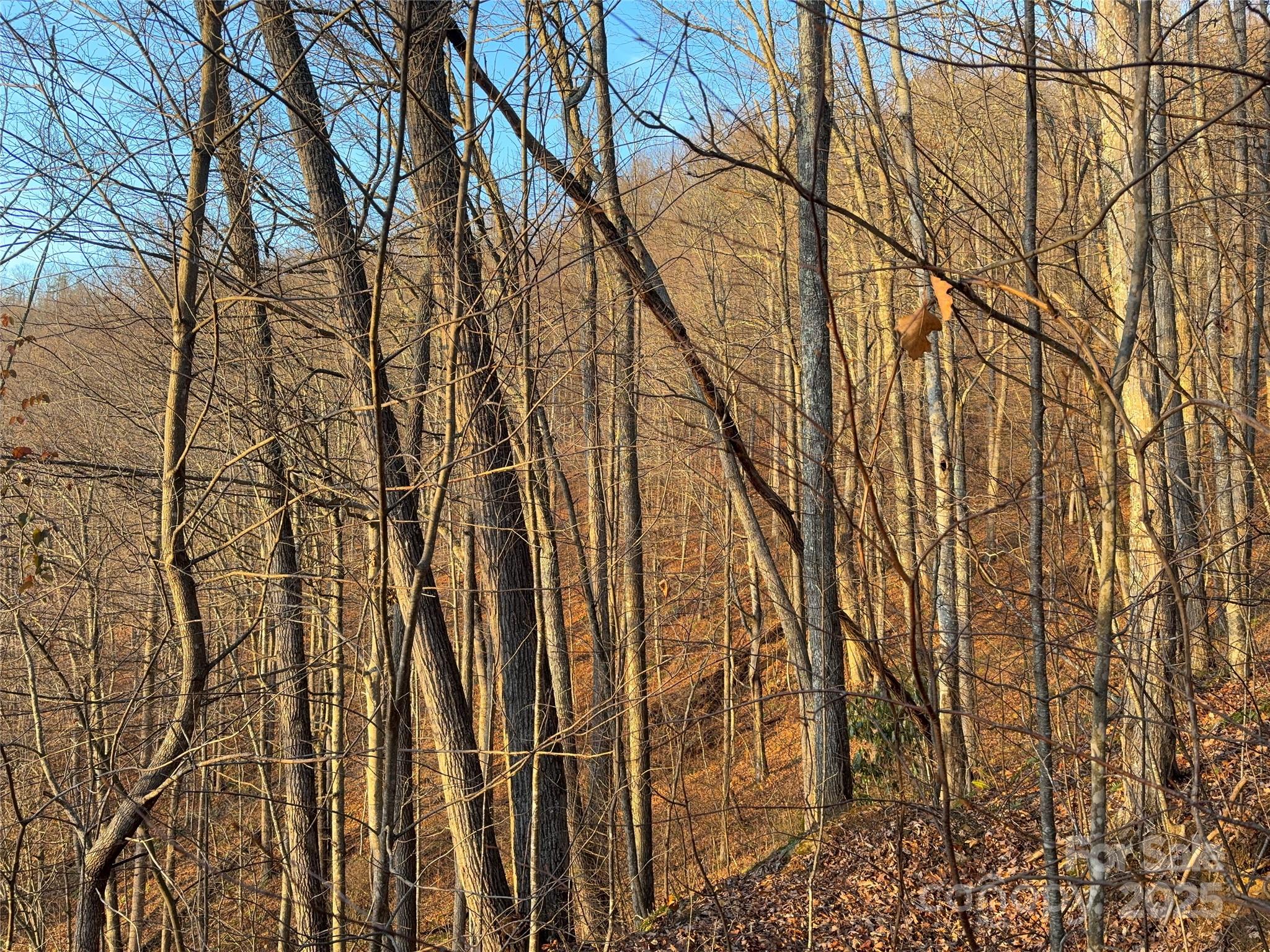 Panther Creek Estates - Land