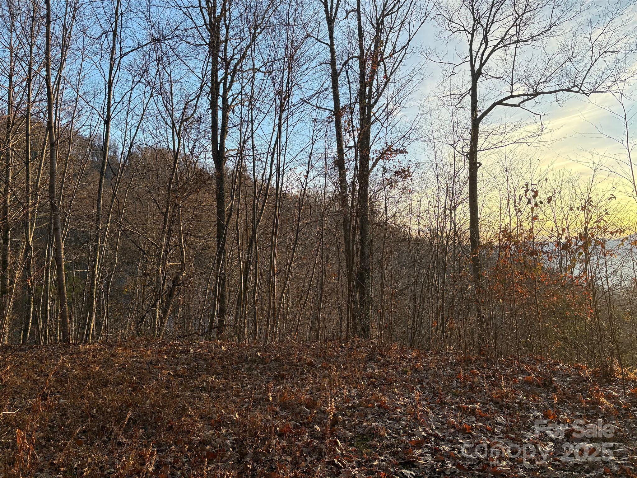 Panther Creek Estates - Land