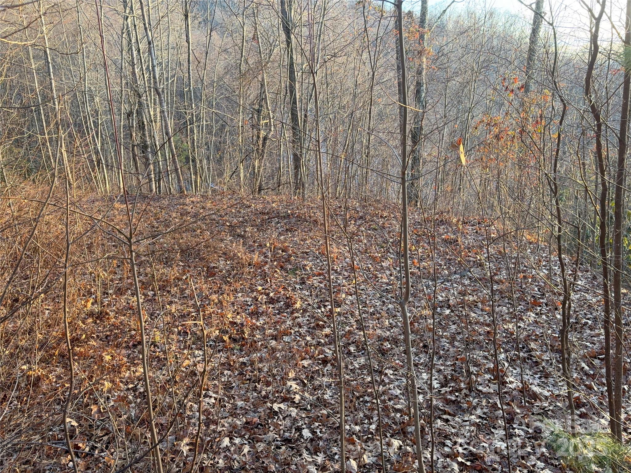 Panther Creek Estates - Land