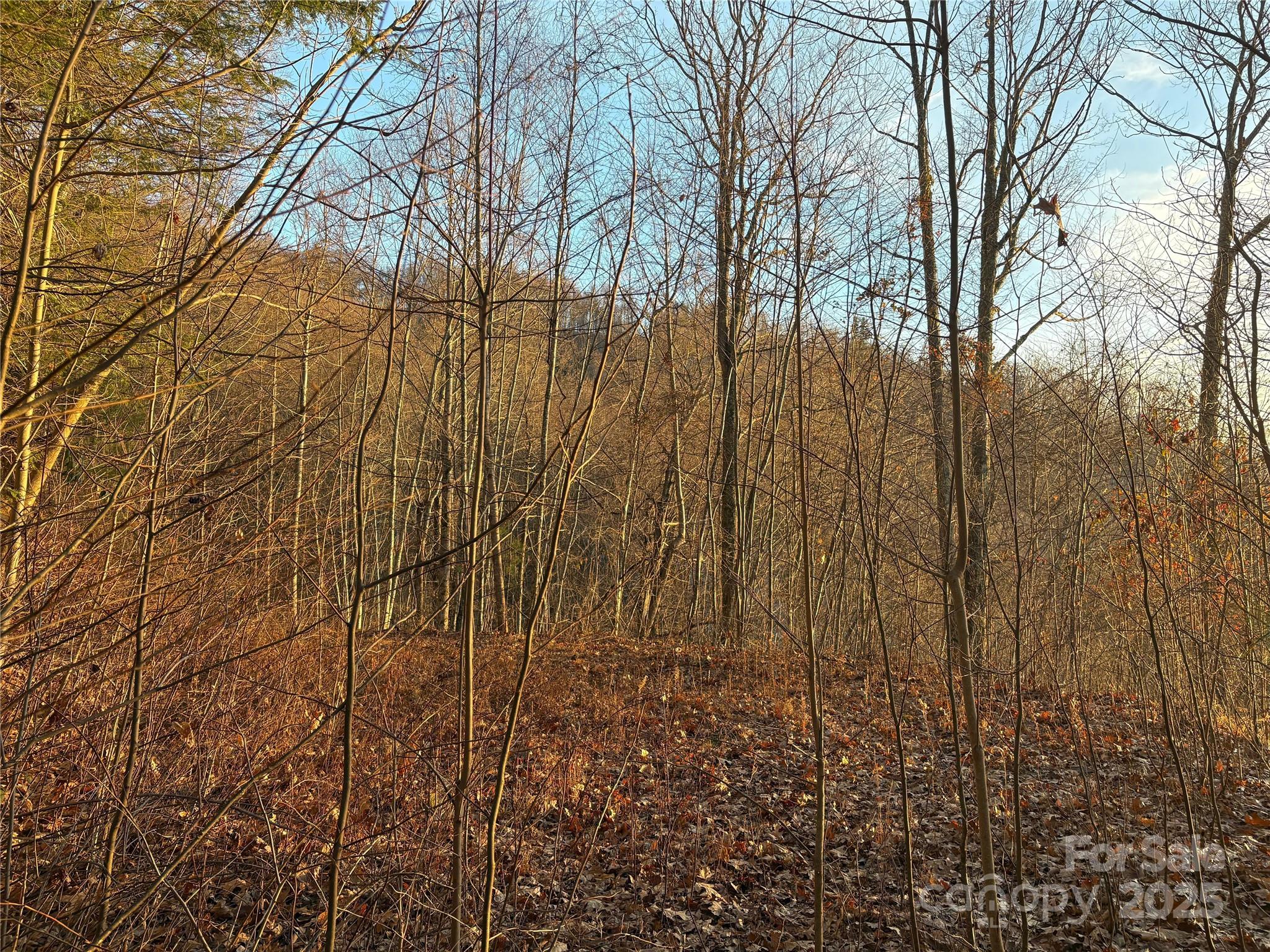 Panther Creek Estates - Land