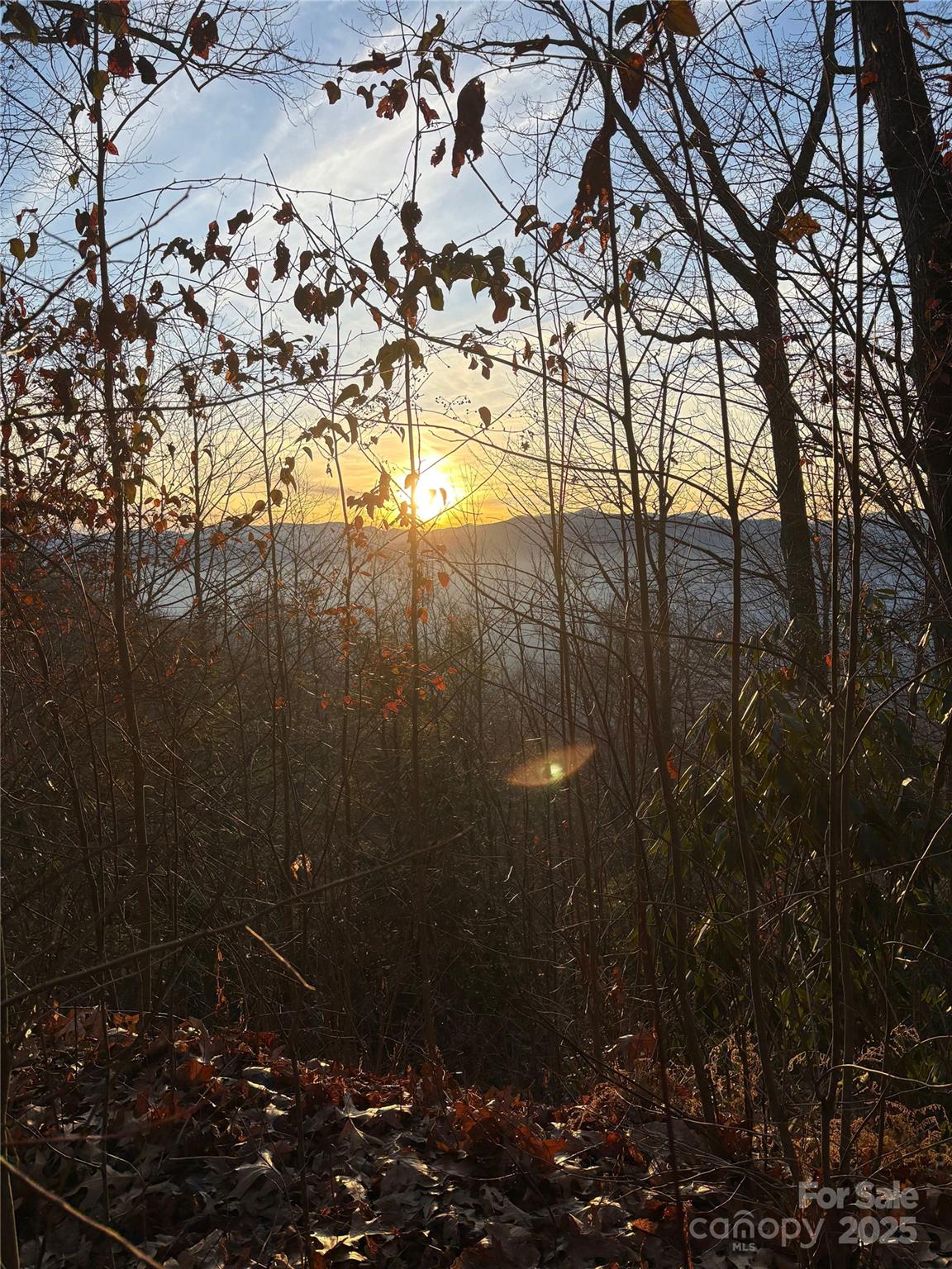 Panther Creek Estates - Land