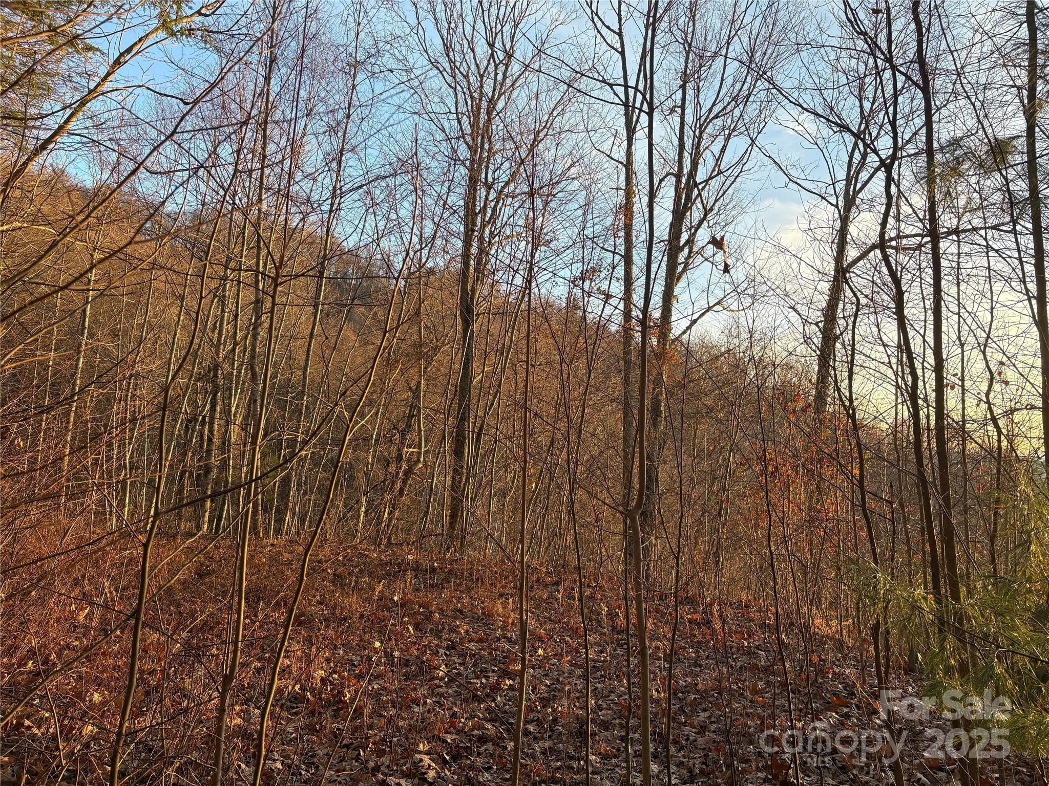 Panther Creek Estates - Land