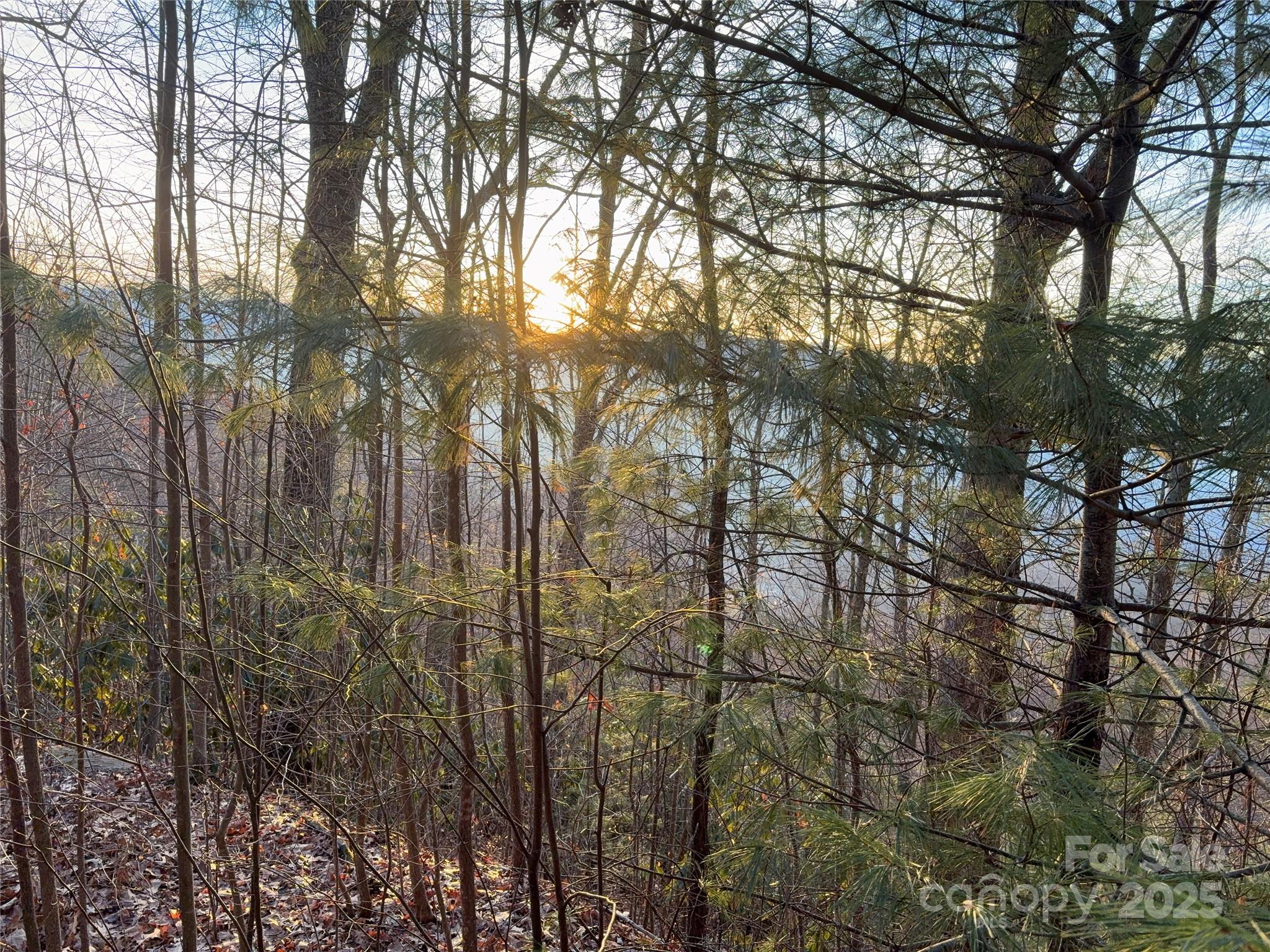 Panther Creek Estates - Land