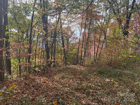 899 Hyacinth Drive Clyde NC 28721