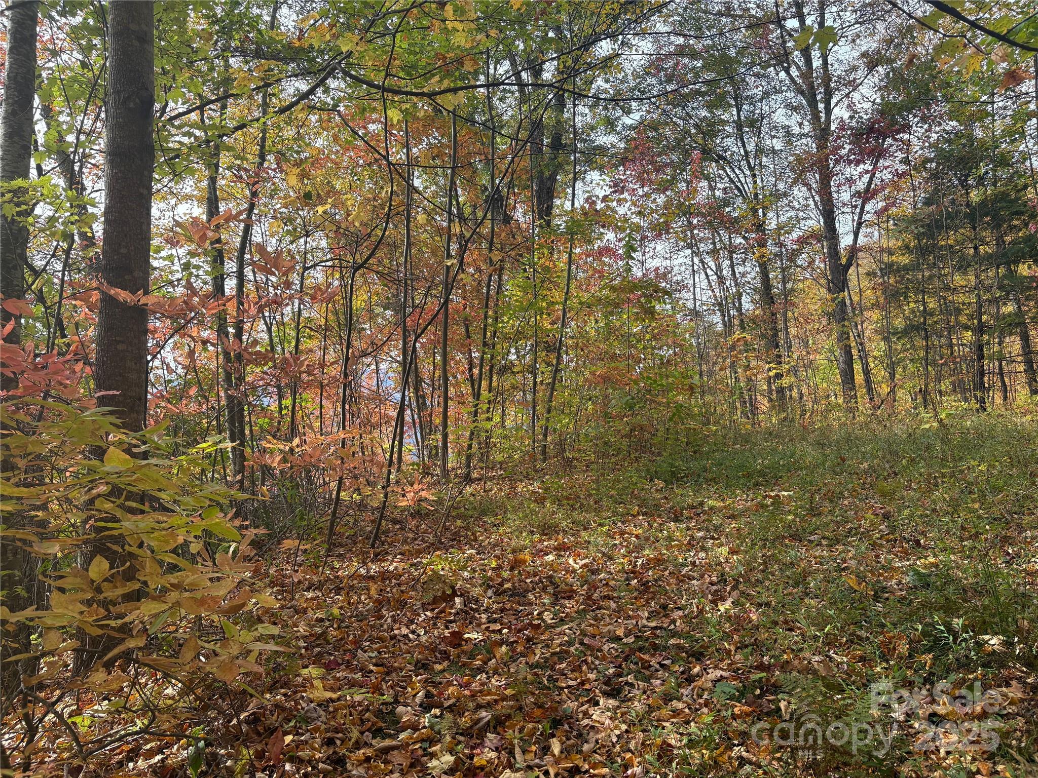 Panther Creek Estates - Land