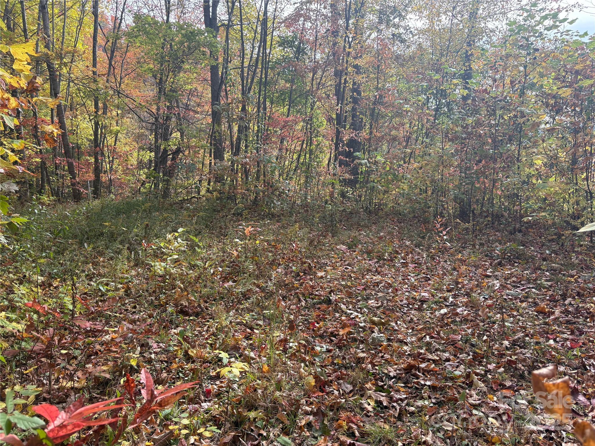 Panther Creek Estates - Land