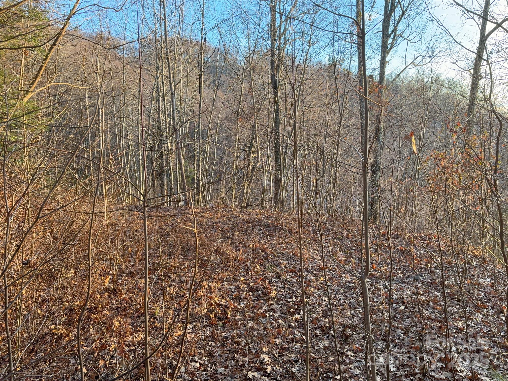 Panther Creek Estates - Land