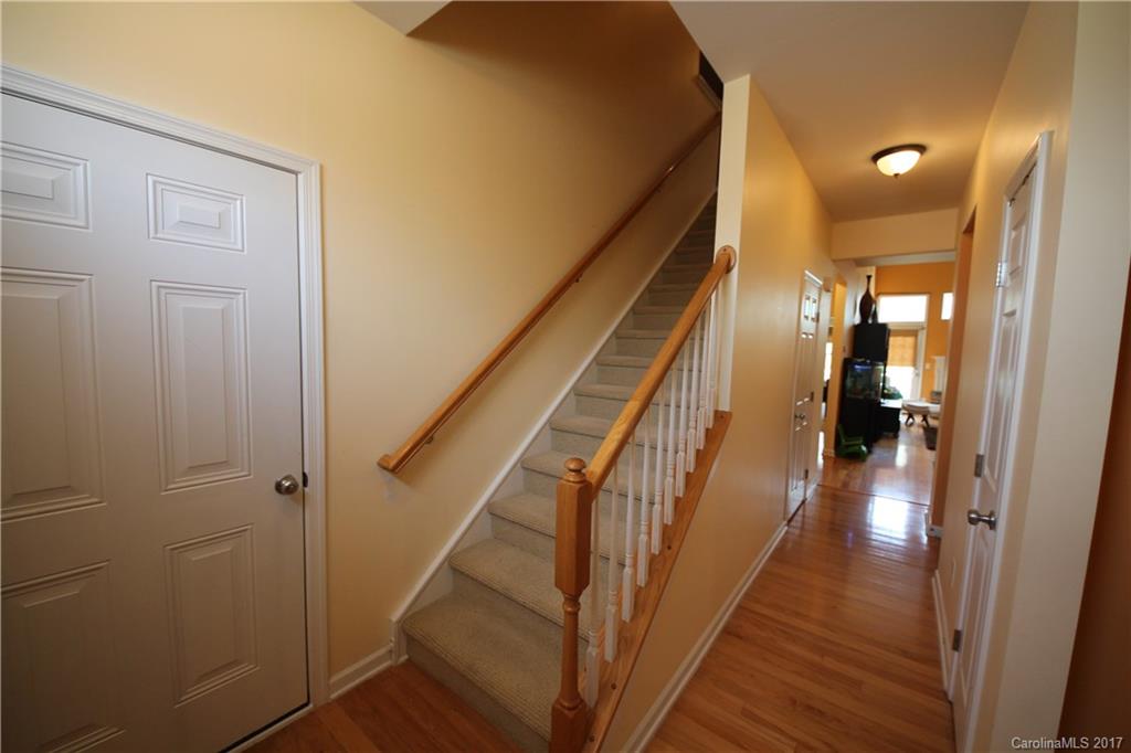 Palmetto Traces - Residential