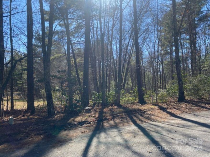 Easy to build on lot nestled at the end of a cul-de-sac in a charming community. Sought after Arden location, convenient to all the best S. Asheville amenities. Great investment opportunity or the chance to build the home you've been dreaming of. Hurry, this won't last!